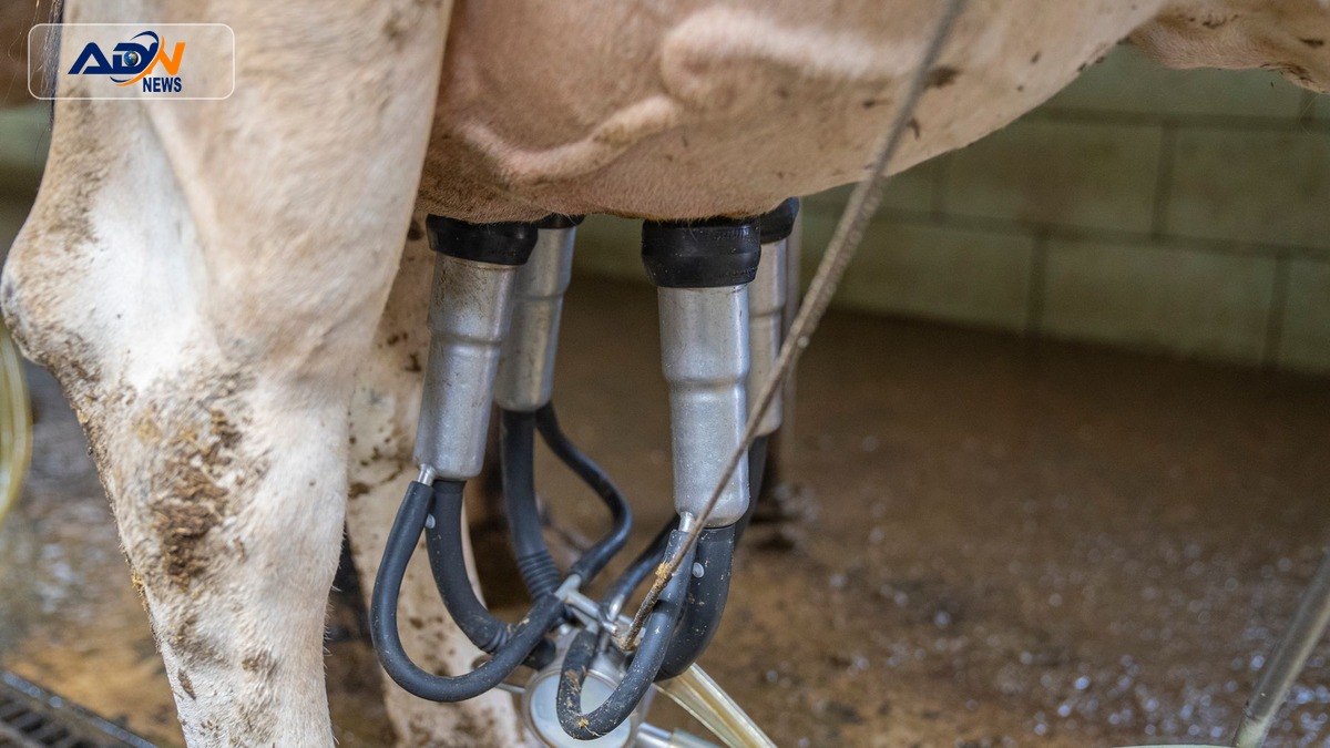 technology in agriculture