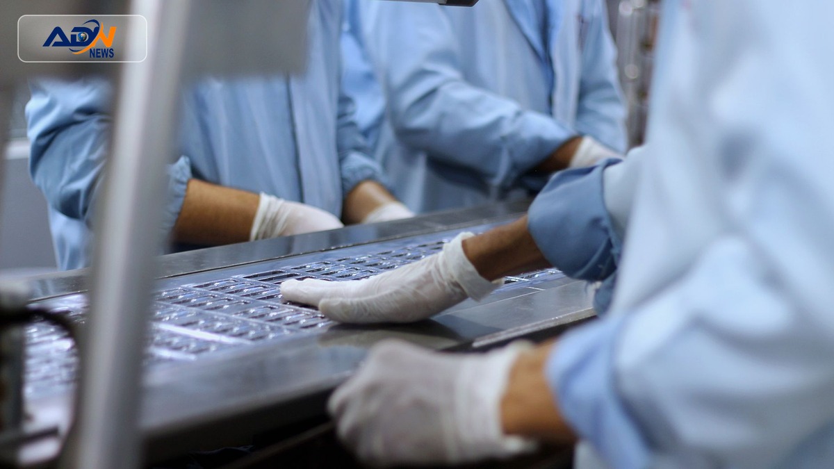 Systems Limited profit increase