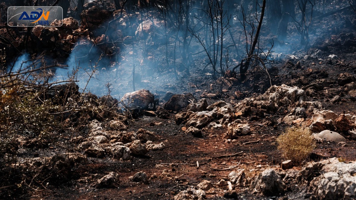 wildfire nature reserve