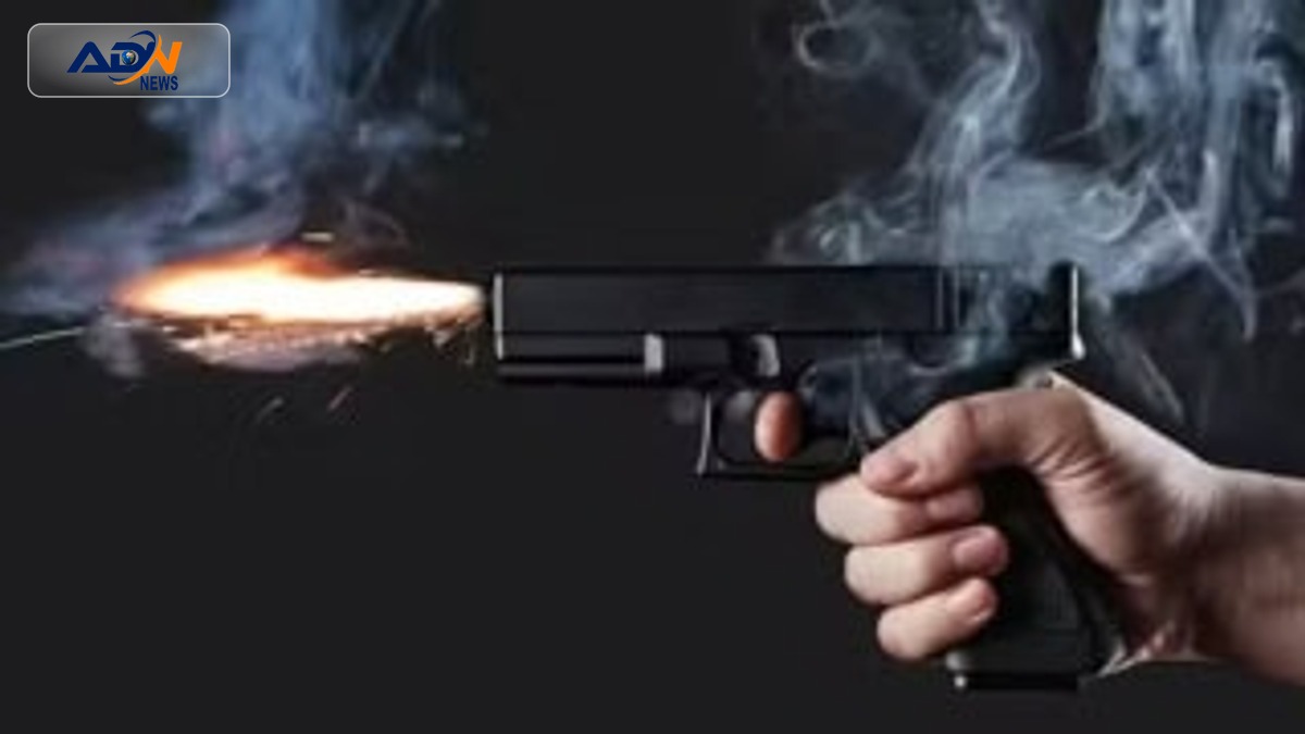 Customs Values Firearms