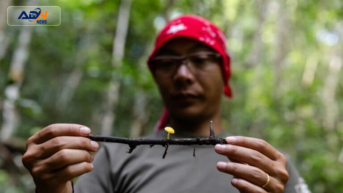 global conservation strategy