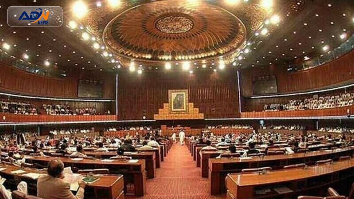 National Assembly bills