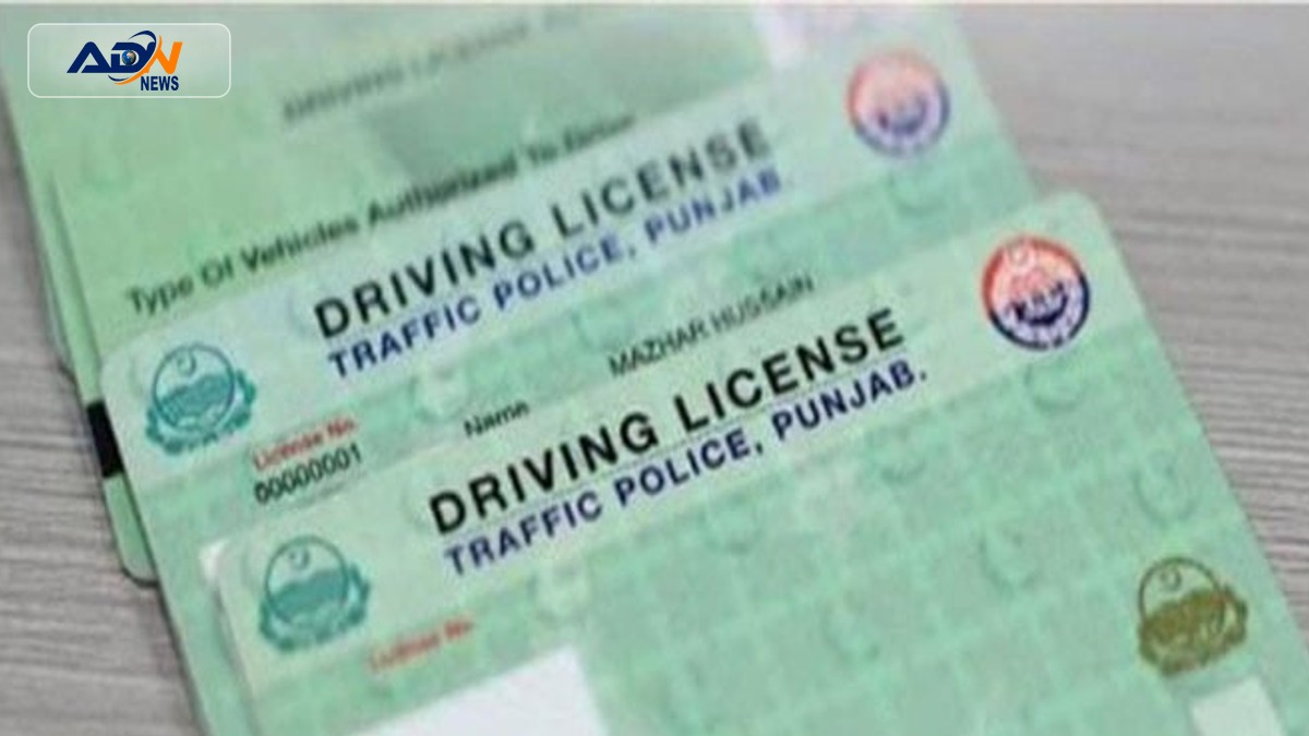 Pakistani Driving License