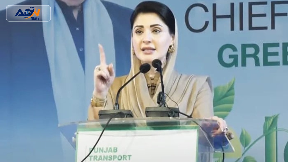 Maryam Nawaz Punjab Assaults