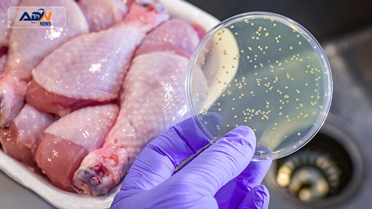 washing chicken health risks