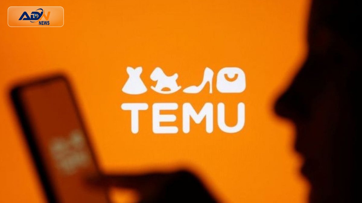 Temu Digital Services Act