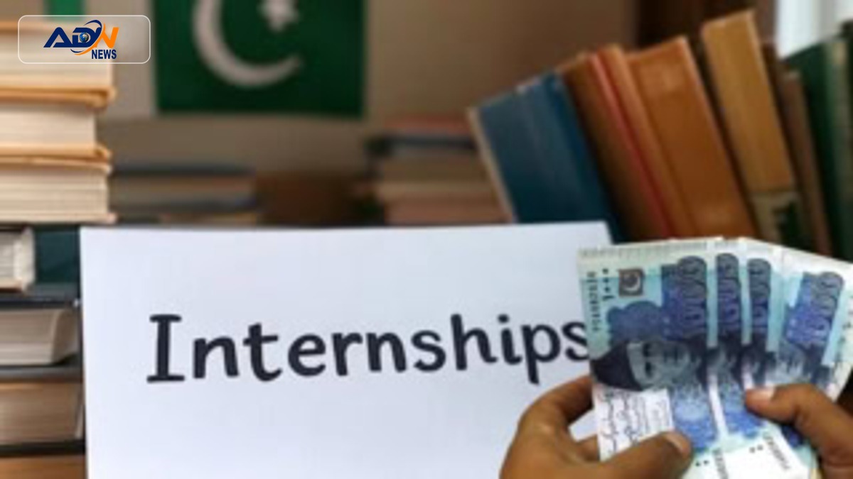mandatory university internships
