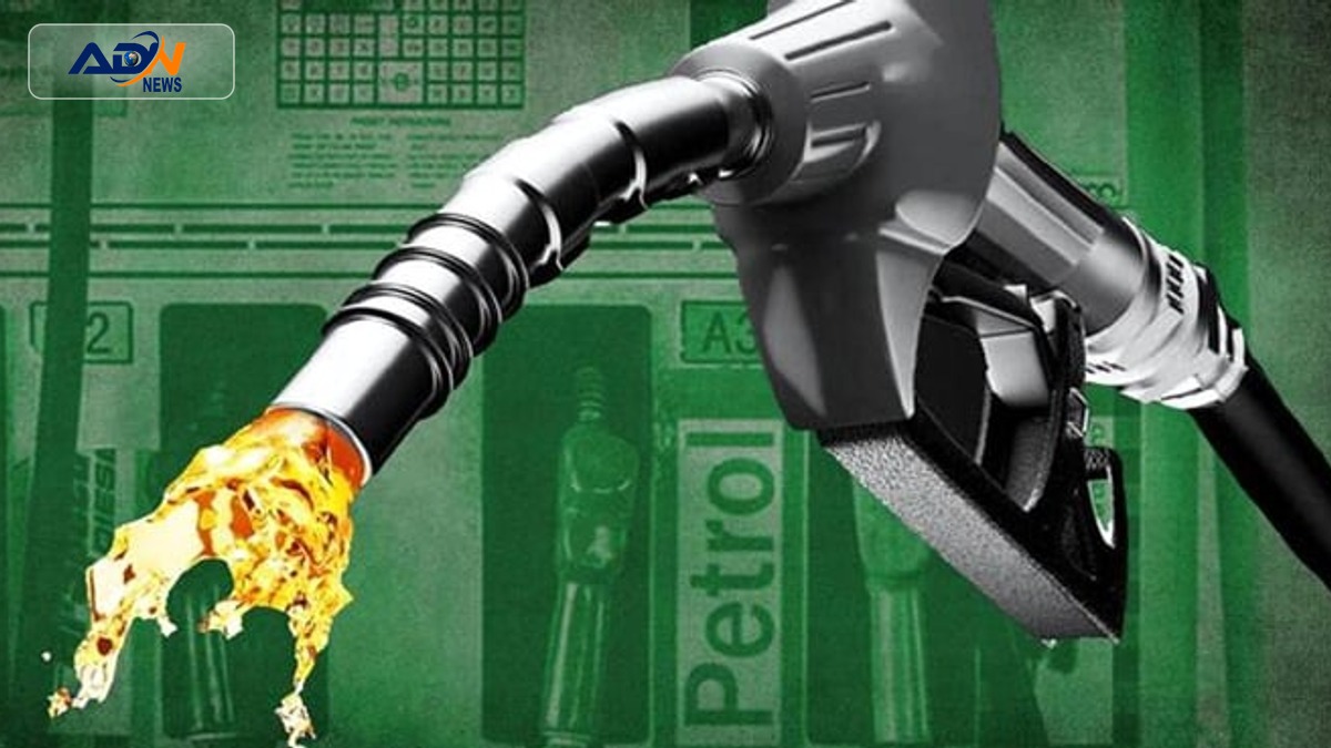 Petroleum Prices Review