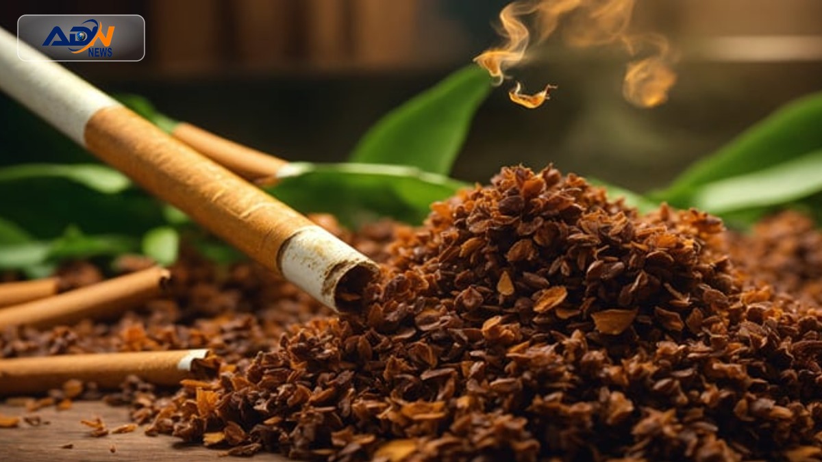 Surplus Tobacco Procurement