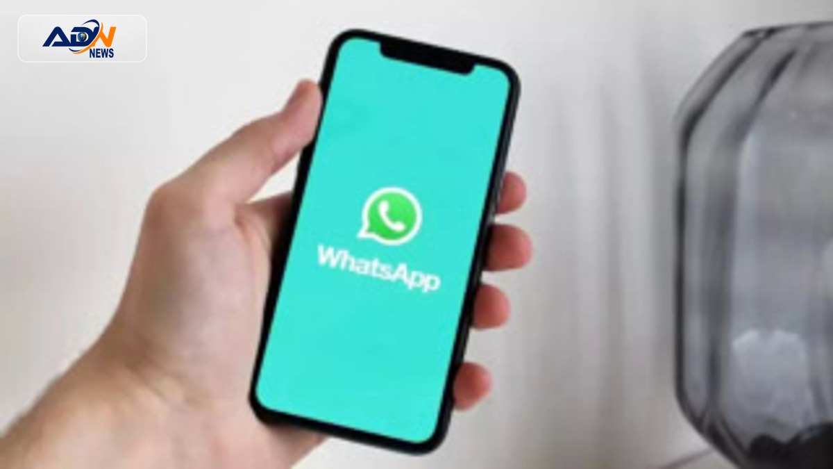 WhatsApp media hub