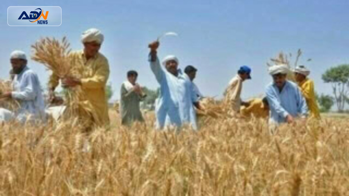 Punjab farmers initiatives