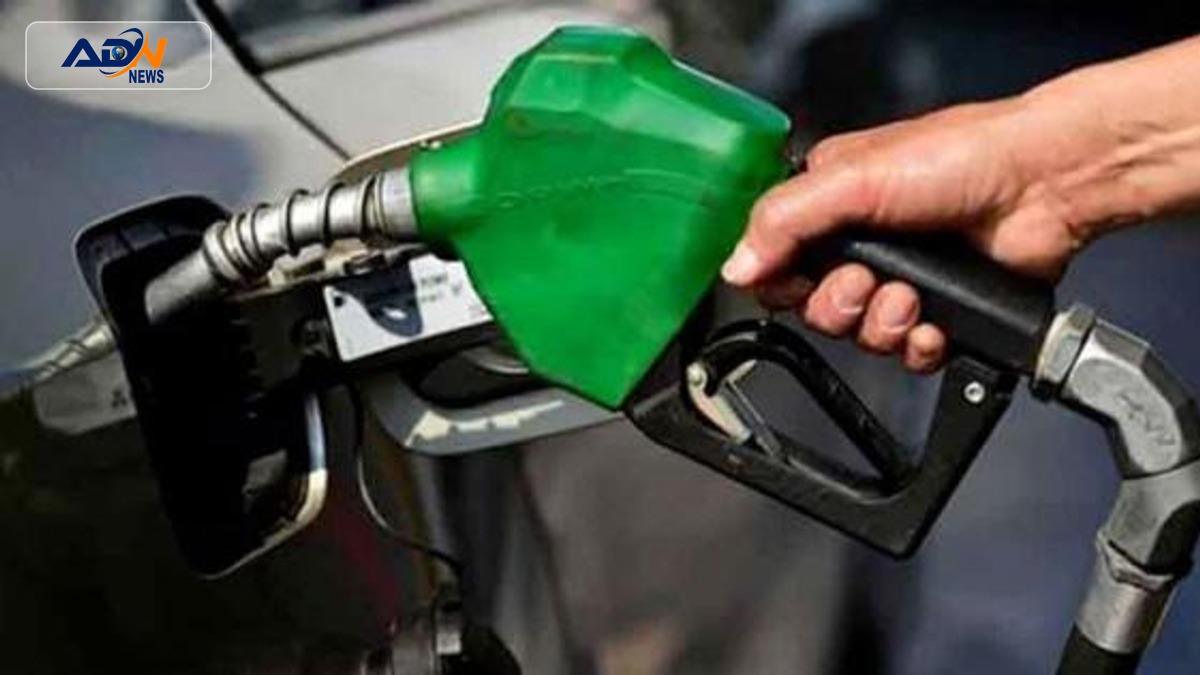 Petroleum and Climate Levy