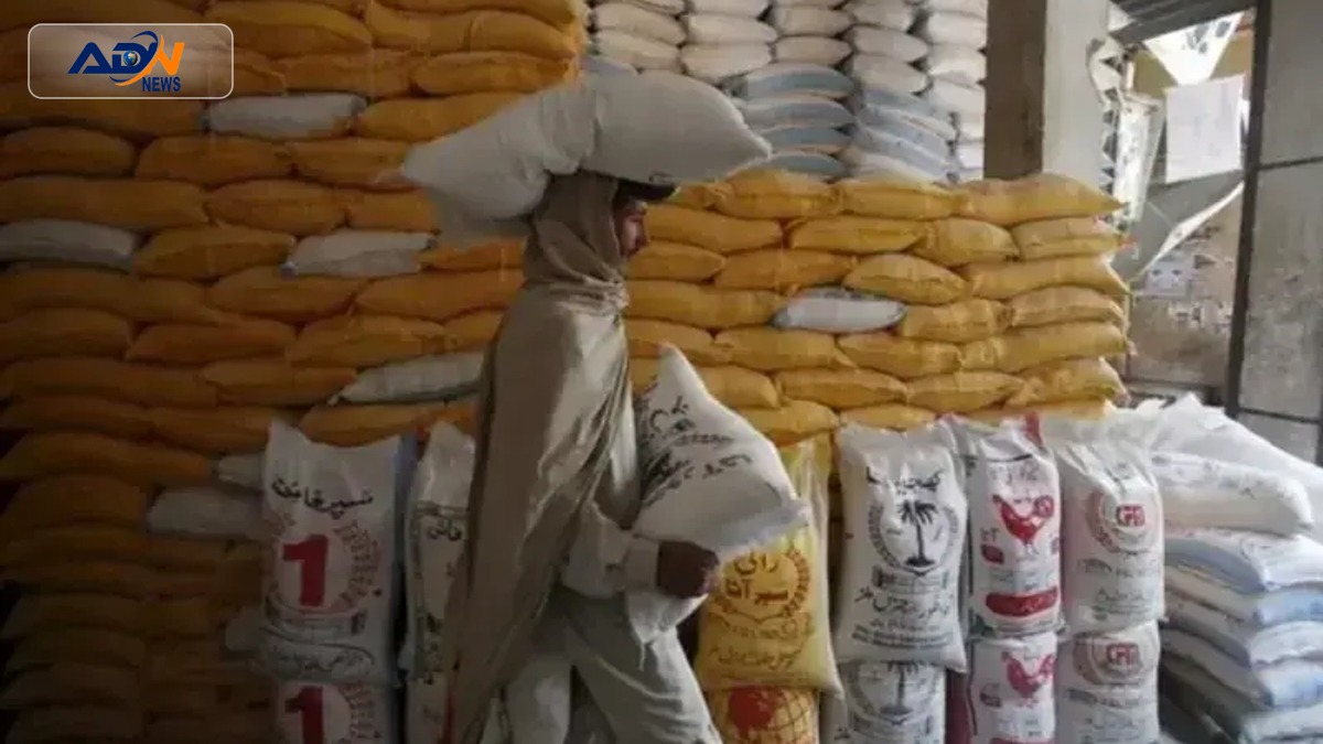 imported wheat shipment