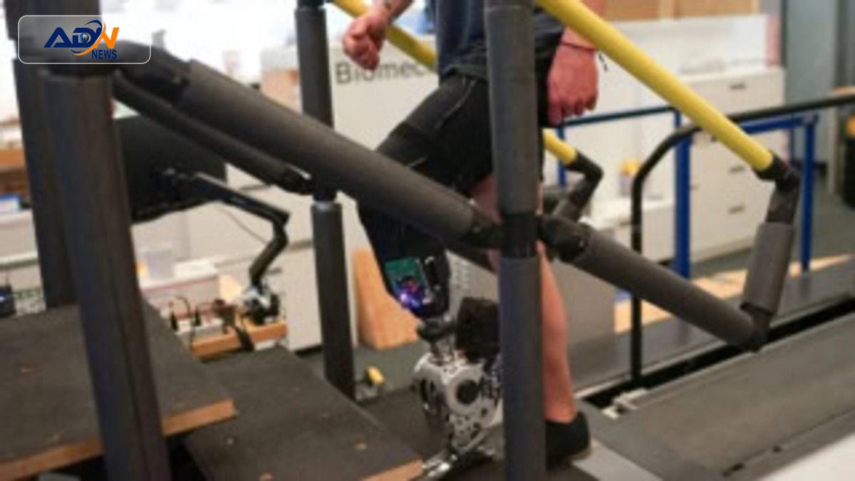 Prosthetic Limbs Control