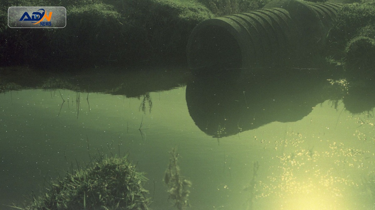 South West Water environmental rating