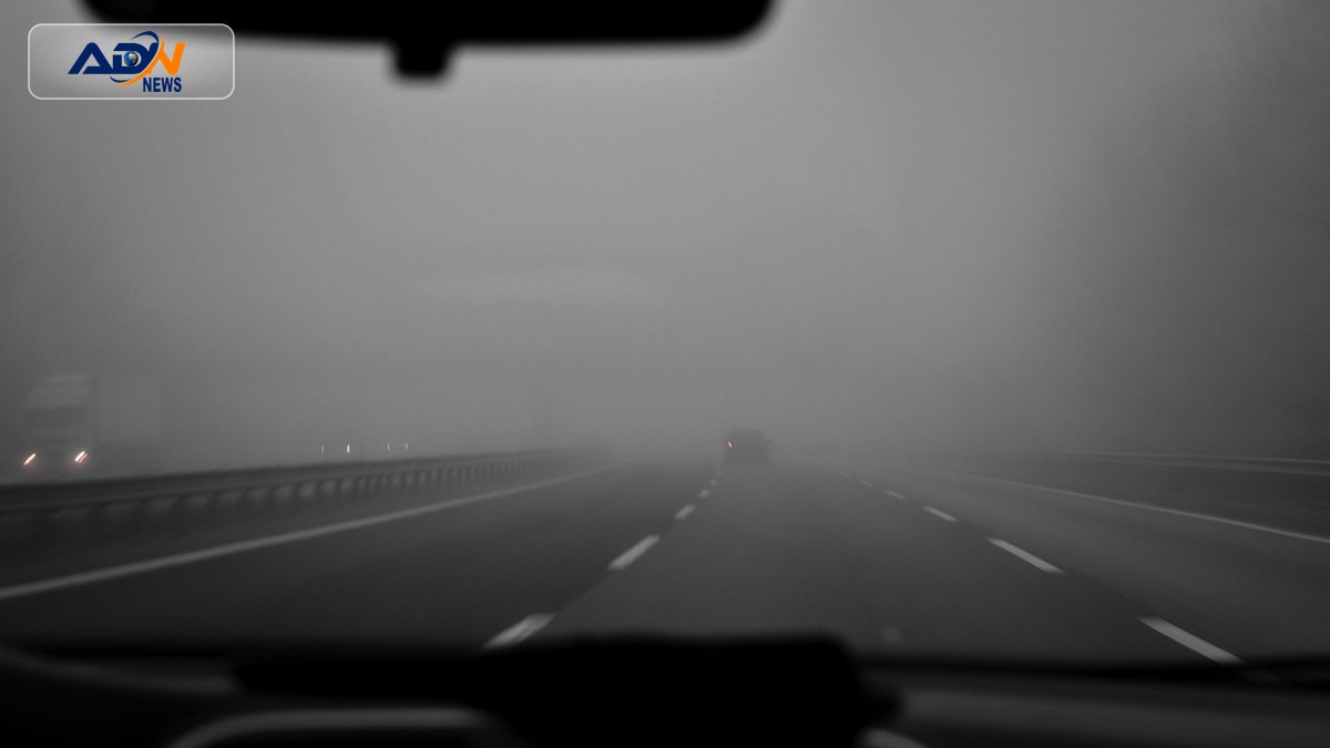 Fog Warning