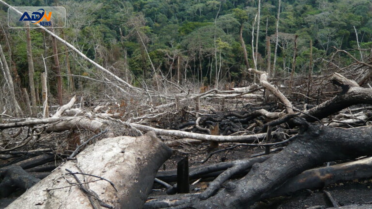Serra do Pingano protection