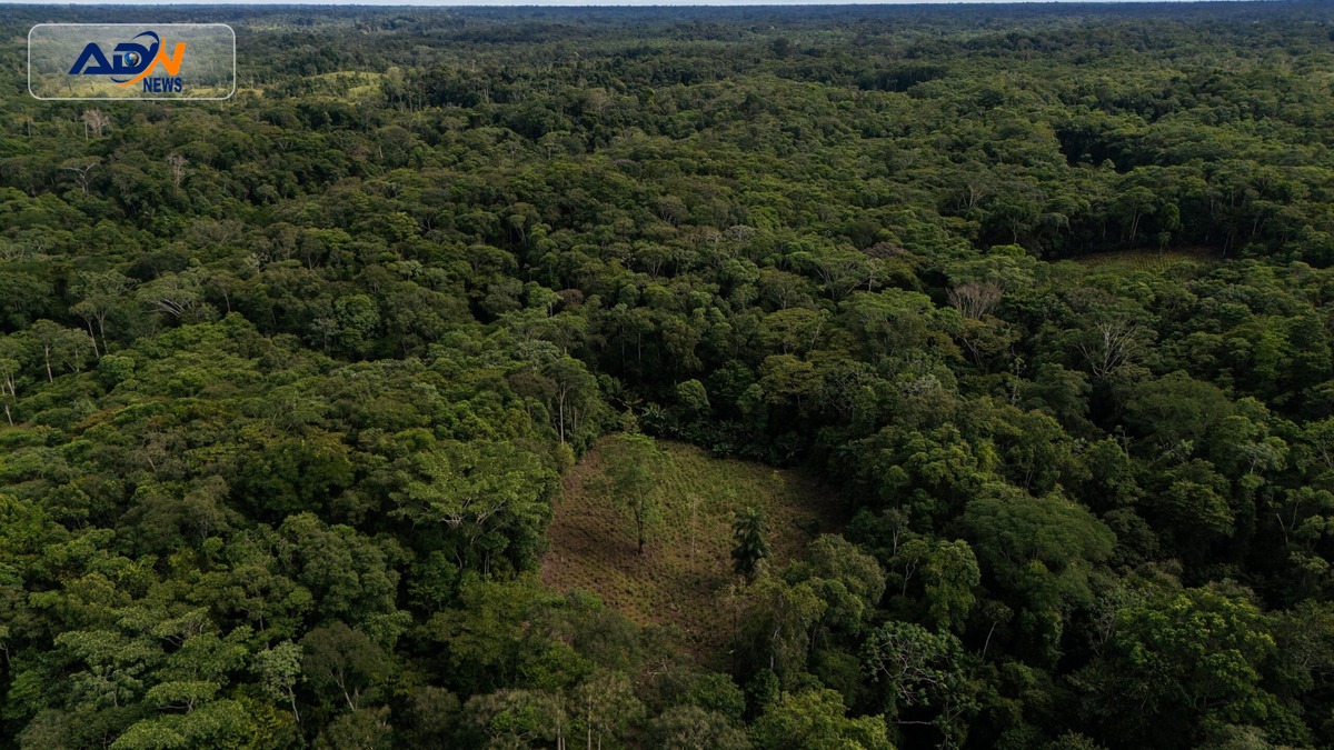 Colombia Amazon aerial spraying