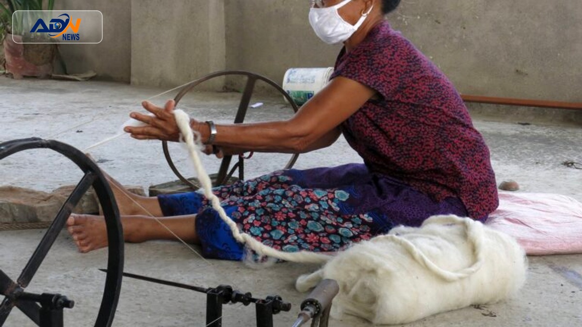 women-led microenterprises