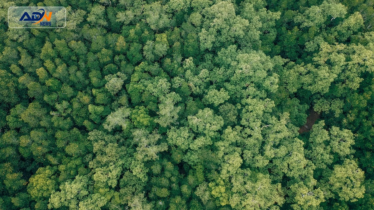 global nature talks