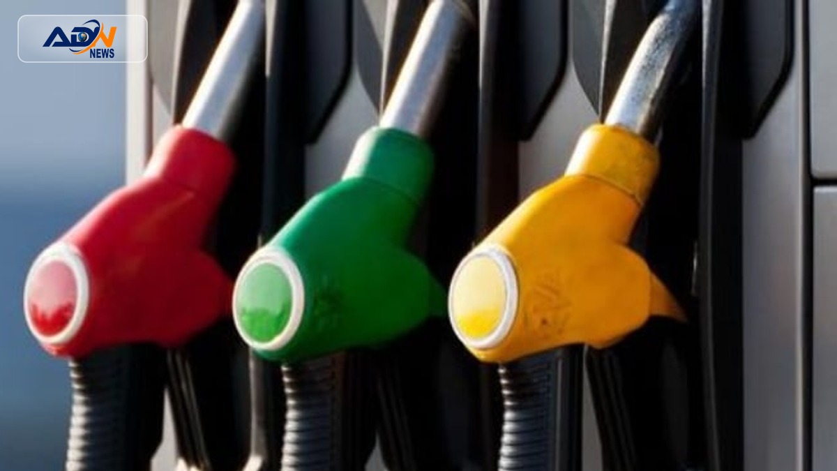 fuel price adjustment policy
