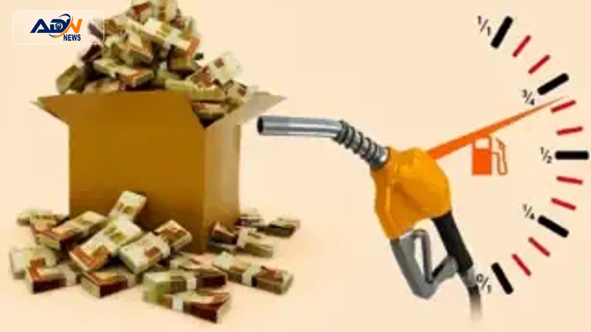 Petroleum Levy Collection