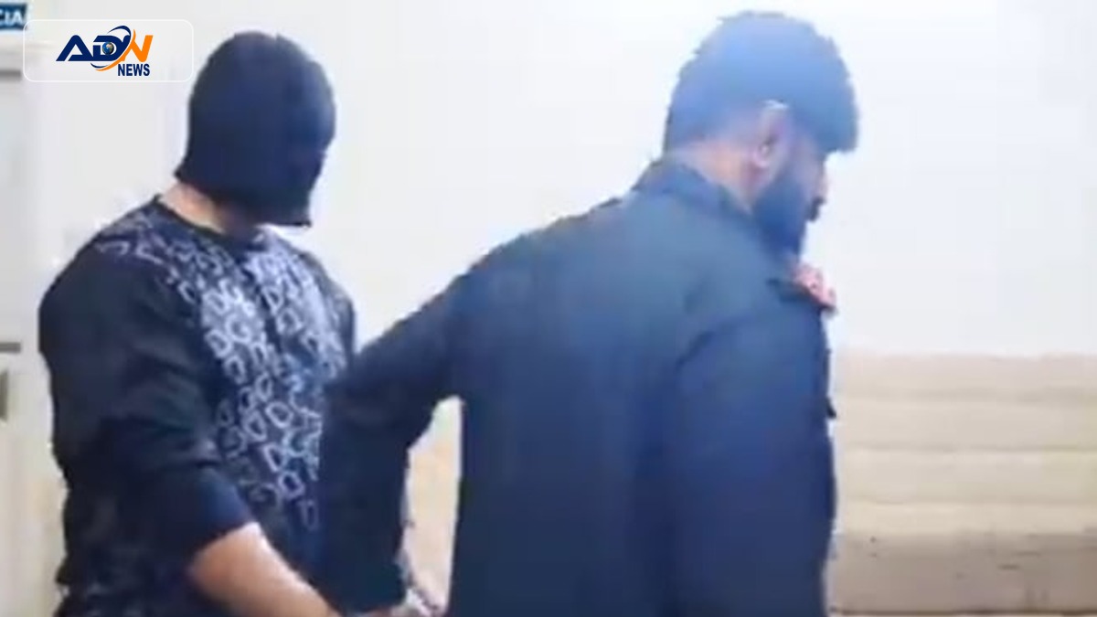 bank fraud case