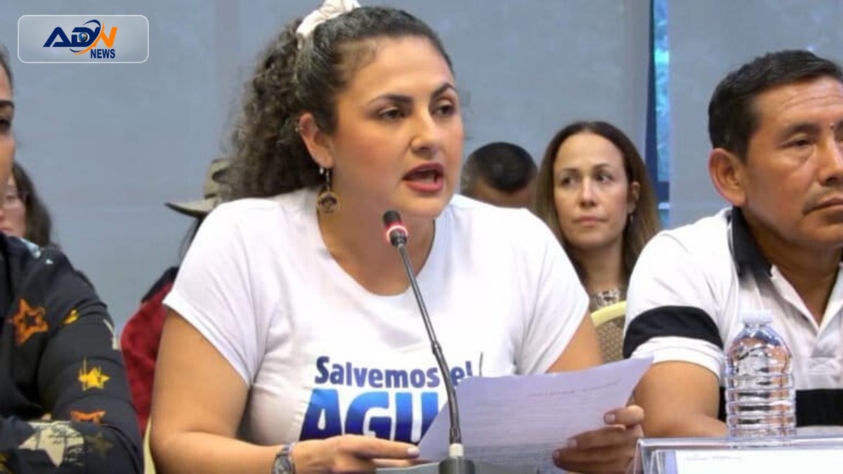 Environmental defenders attacks